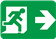 Emergency Guidance Fixtures